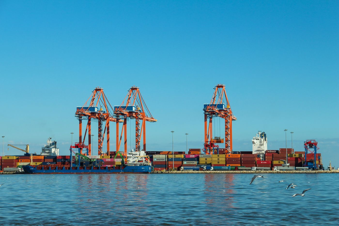Portiques et conteneurs alignés sur un terminal portuaire